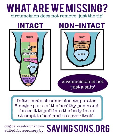 Photo Gallery: Circumcised vs Uncircumcised